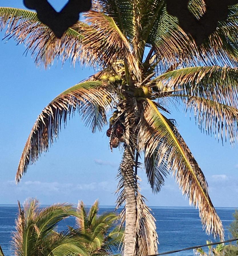 Le Reve Tropical 974 Appartement Trois Bassins Buitenkant foto